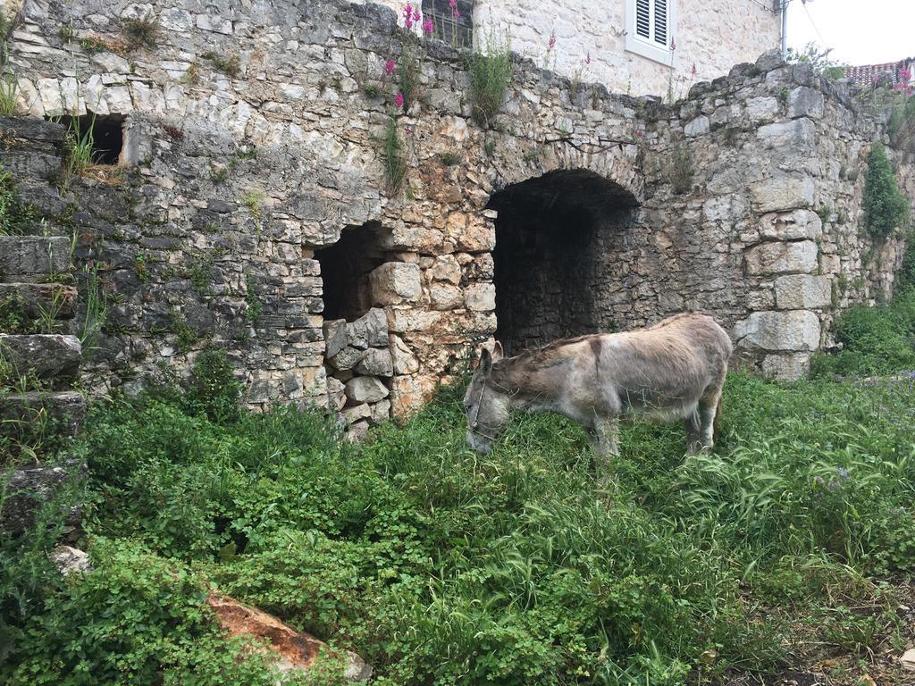 Casa Di Lavanda Apartman Hvar Town